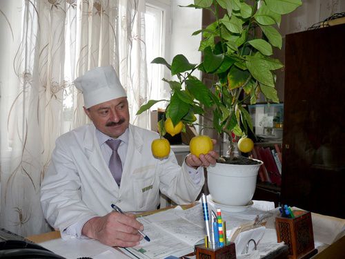 Medicină cu miros exotic. Stomatologul moldovean care crește lămâi. Foto: cuvintul.md