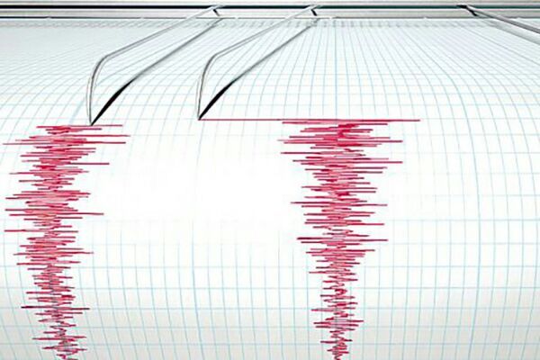 În ceea ce privește faptul că, de exemplu, seismul s-a simțit și la Brașov, Mircea Radulian a spus că "iese puțin din tipare".