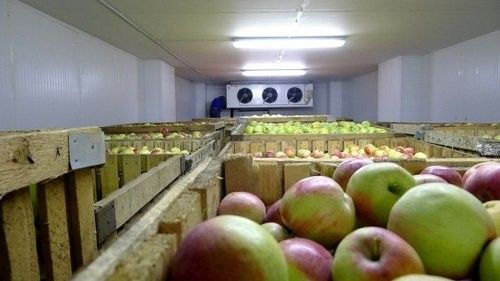 В январе-феврале, согласно данным таможенной службы РМ, было экспортировано 68,8 тыс. тонн этих фруктов. 