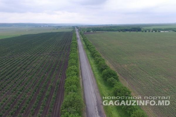 Скандал произошел в селе Ферапонтьевка, Комратского района.