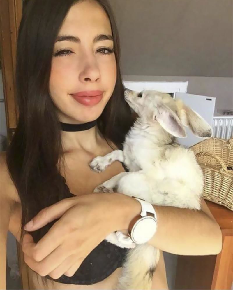 A adoptat o vulpe de deșert și a crescut-o cu o dieta vegetariană. Foto: digi24.ro