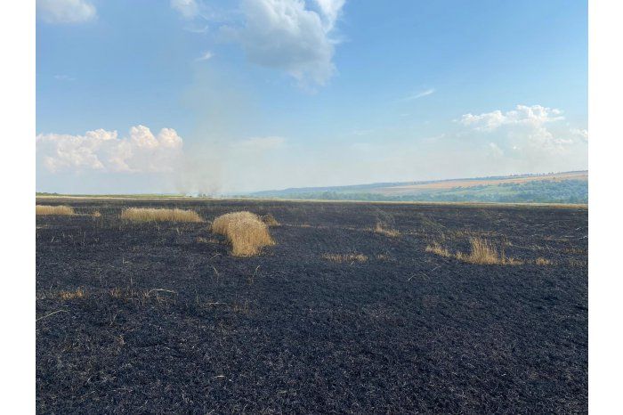 В Тараклийском районе пожар уничтожил урожай пшеницы на 35 га.
