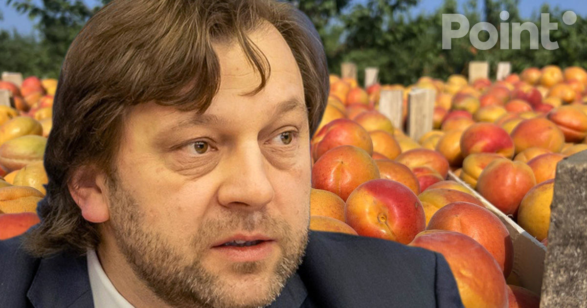 Алайба: Экспорт абрикосов за год увеличился в 4,5 раза.