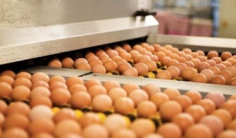 Inspectorii IGP au depistat sute de mii de ouă cu datele de producere falsificate. Foto: romaniatv.net