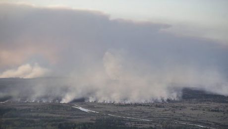 Incendiul care a izbucnit marţi în zona interzisă din jurul centralei nucleare de la Cernobîl este cel mai mare din 1992. Foto: focus-energetic.ro