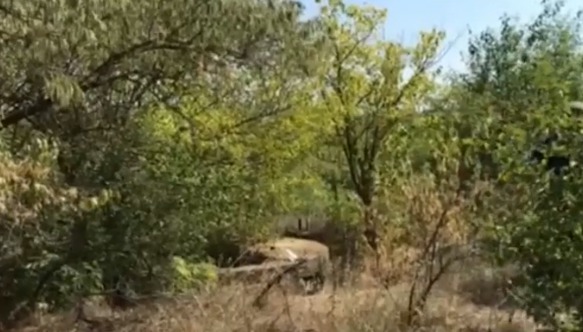 На теле мужчины, найденного мертвым в колодце в Кэушень, нашли ожоги.