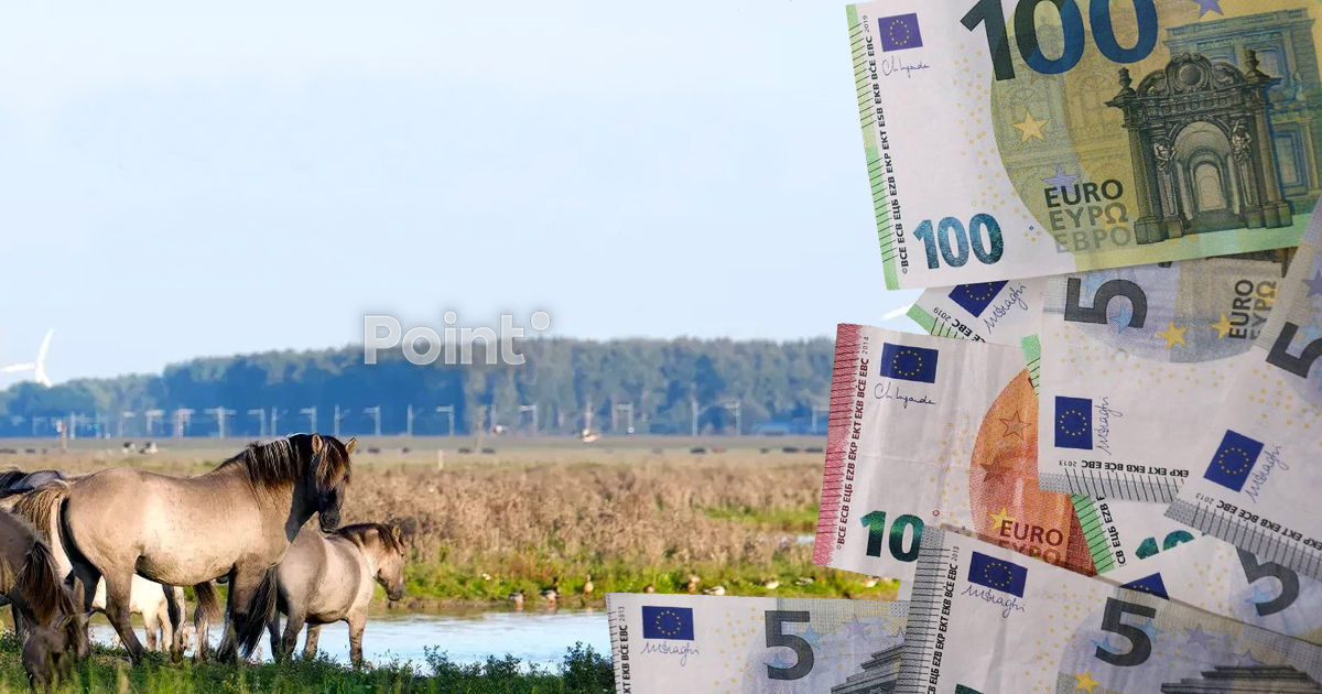 В Молдове на проекты по исследованию биоразнообразия выделят €100 тысяч.