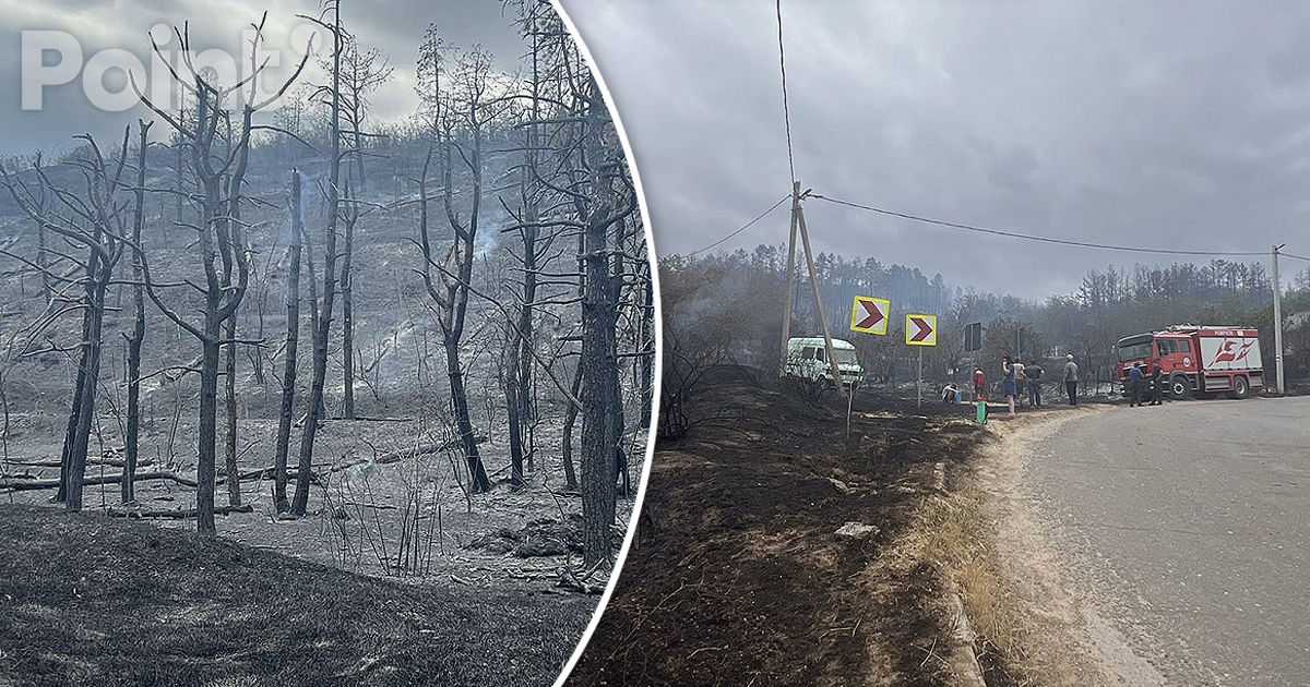 Incendiu devastator la Căușeni: Circa zece hectare de vegetație uscată și trei de pădure, făcute scrum.