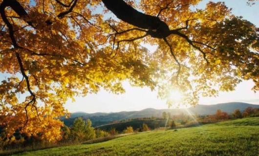 Deși calendaristic suntem în a doua săptămână de toamnă, temperaturile de vară se mențin.