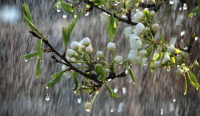 Meteo: Averse cu descărcări electrice și maxime de până la 28 de grade Celsius