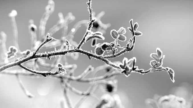 Meteo 27 februarie: Iarnă în toată legea. Câte grade indică termometrele