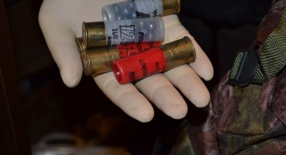 Oamenii legii au descoperit mai multe obiecte deținute ilegal, printre care 34 de cartușe, de diferit calibru, și o cantitate de substanțe narcotice. Foto: independent.md