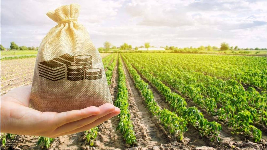 Guvernul respinge acuzațiile fermierilor și precizează cum sunt ajutați agricultorii.