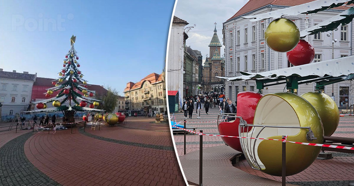 Bradul de fier din Timișoara a stârnit discuții între localnici.