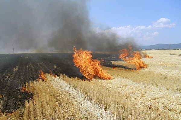 Максимальная температура достигнет 33-35°C.