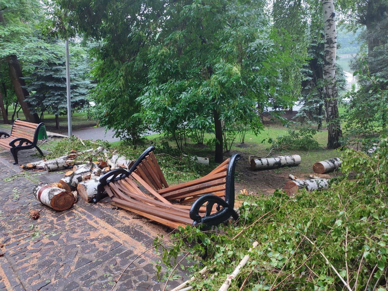 В столичном парке Valea Morilor дерево упало на скамейку.