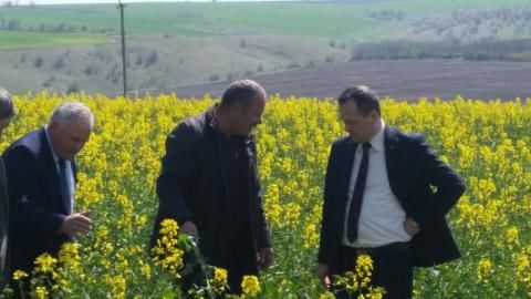 Ministerul Agriculturii inspectează daunele provocate de intemperie. Foto:maia.gov.md