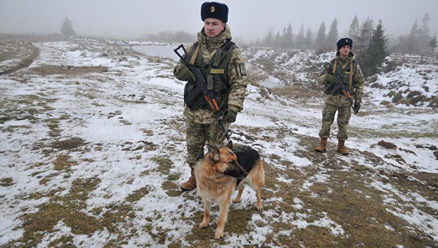 Часть мобильных групп уже направили в Черновицкую, Закарпатскую и Волынскую области. 
