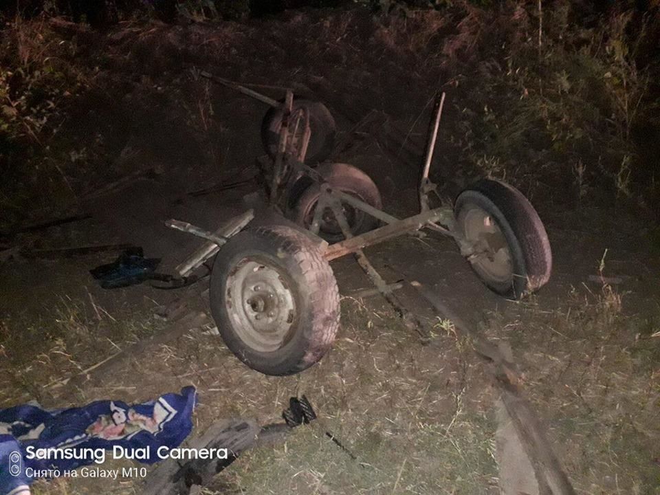 ДТП в Новых Аненах: авто врезалось в телегу, в которой были мать и 4 детей.