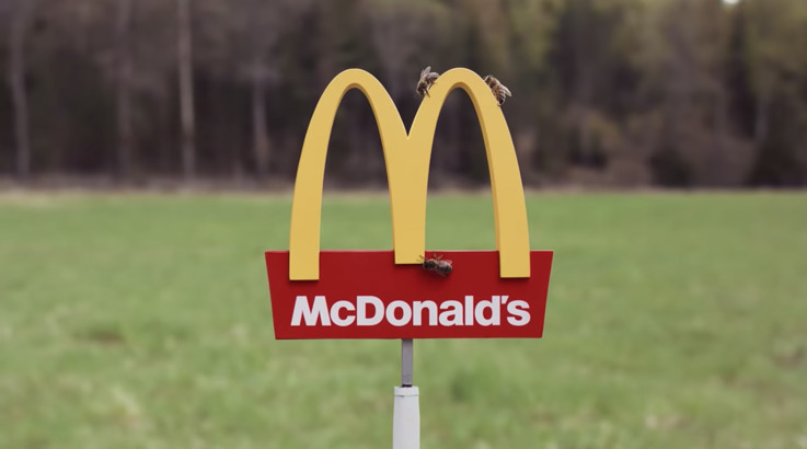 Primul McDonald’s pentru albine a fost deschis în Suedia