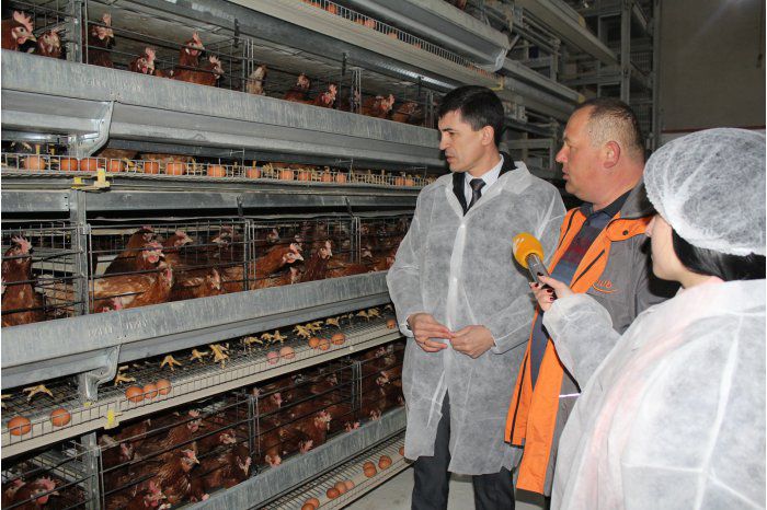 ANSA предупредила население, что продукты питания следует покупать только в специализированных магазинах.