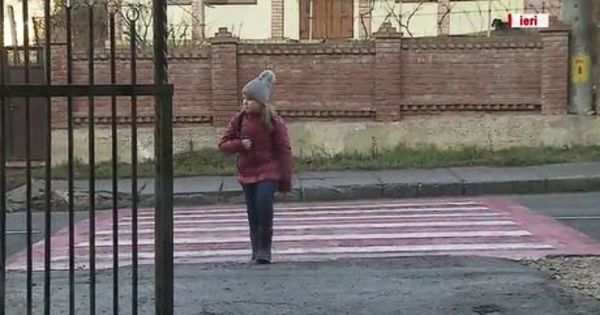Полиция разыскивает сотрудника, который не пропустил ребенка на "зебре".