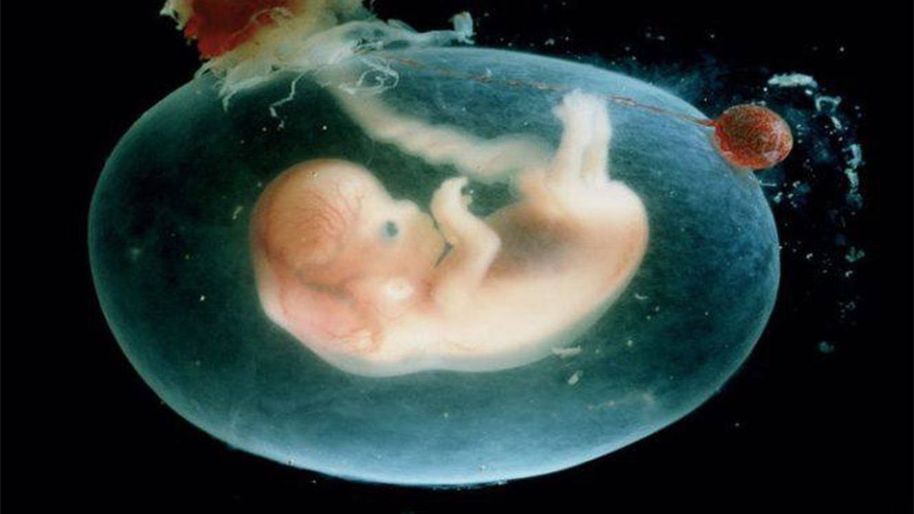 CRISPR приведет к созданию «дизайнерских младенцев».