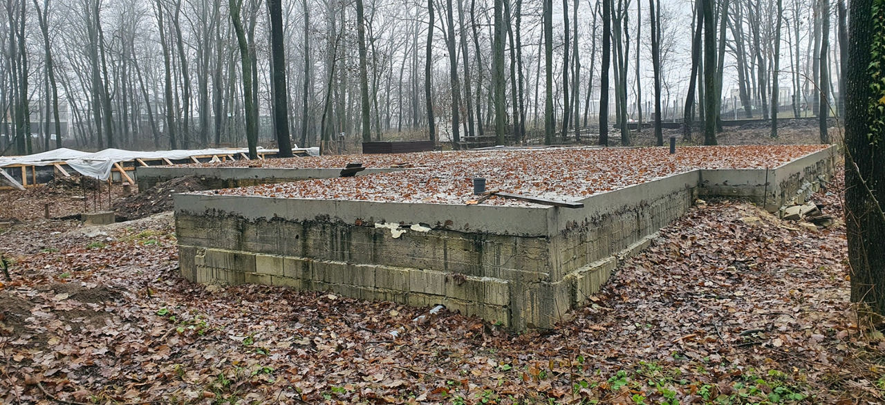 Patru persoane vizate în dosarul construcțiilor ilegale din pădurea Durlești, trimise în instanță.