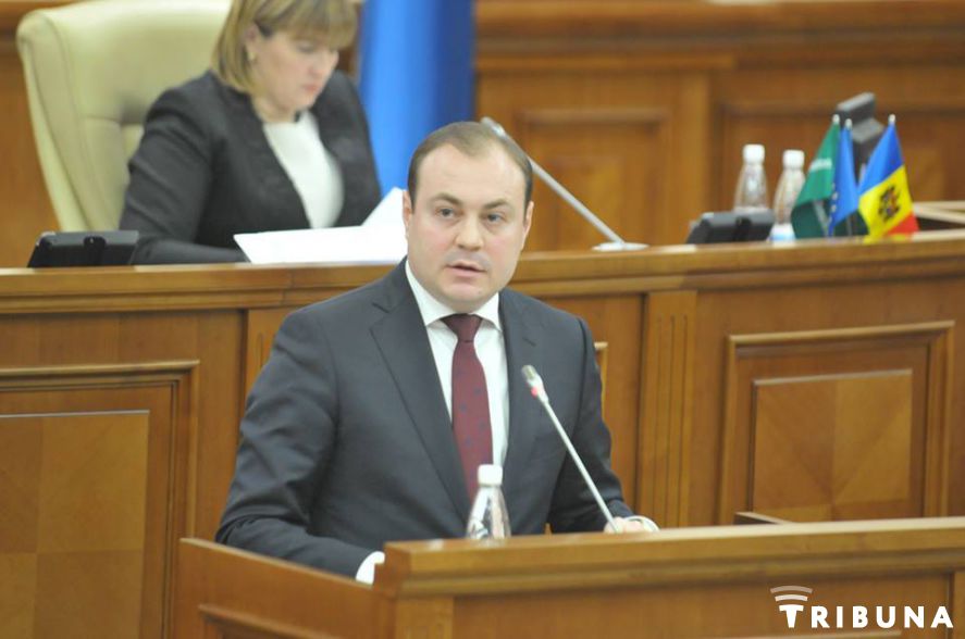 Firma unui deputat PDM câștigă licitații la stat din primele luni de la fondare