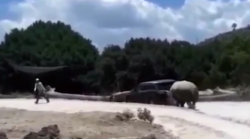 Нападение носорога на посетителей сафари-парка попало на видео.
