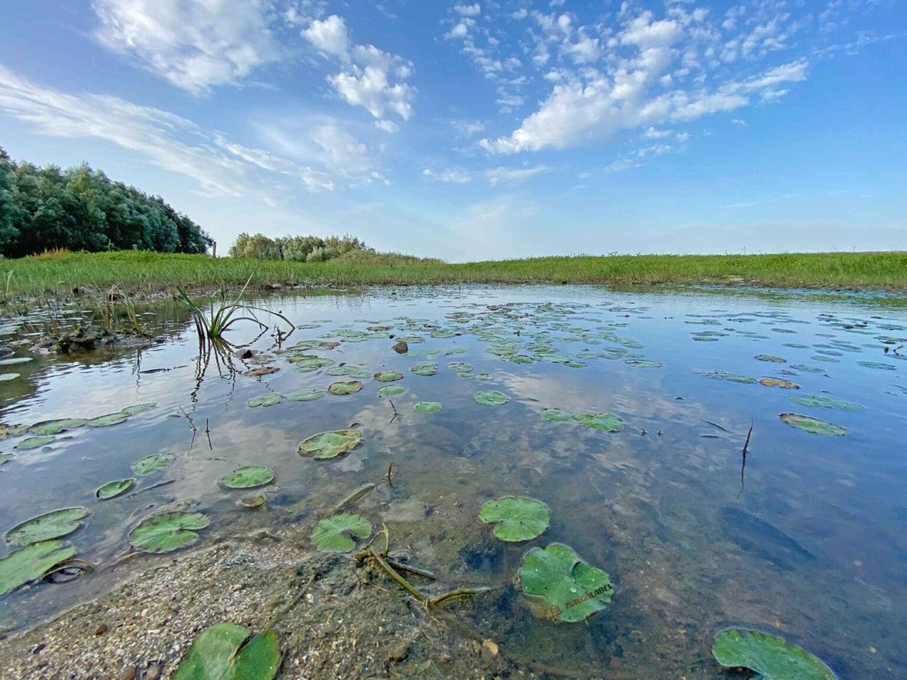 Во Флорештском районе оштрафовали нарушителей водного законодательства на 52 тысячи леев.