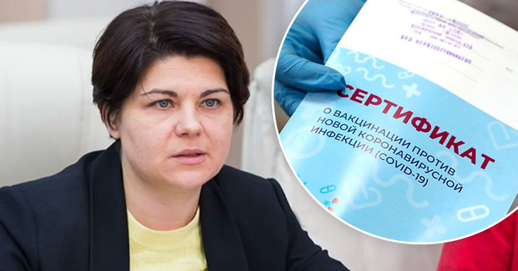 Гаврилица о поддельных сертификатах: У молдаван могут возникнуть проблемы при поездках.