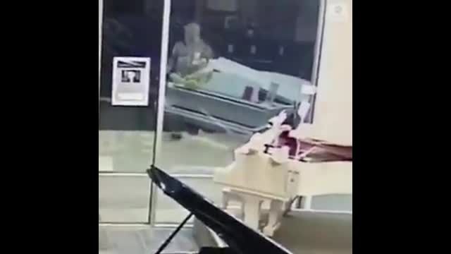 Грабитель разбил окно закрытого заведения, однако не взял ничего ценного, кроме игрушки.