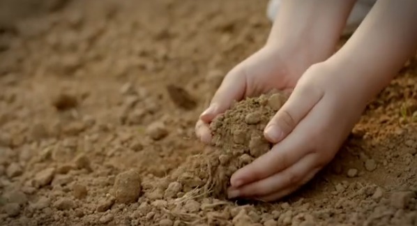 Сторонники Эрдогана «аннексировали» Кипр для Турции.