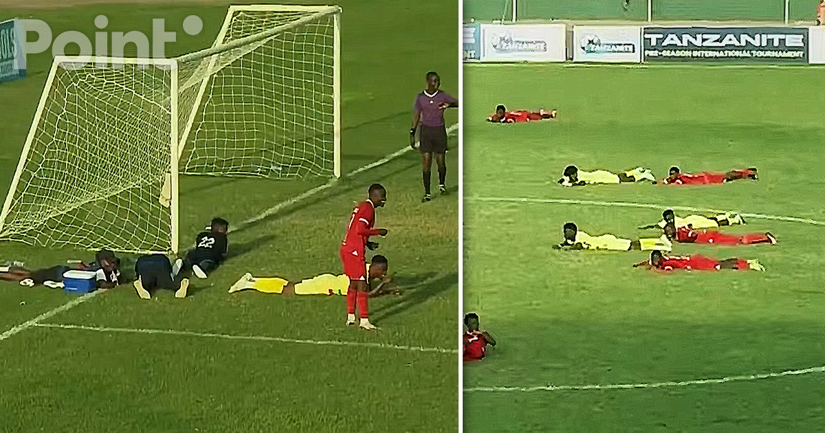 Un meci de fotbal din Tanzania, întrerupt din cauza unui roi de albine.