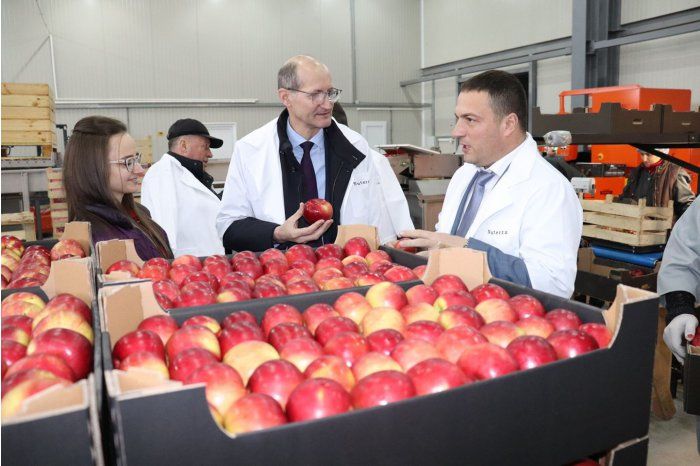 Ion Perju: Investițiile post recoltare trebuie multiplicate