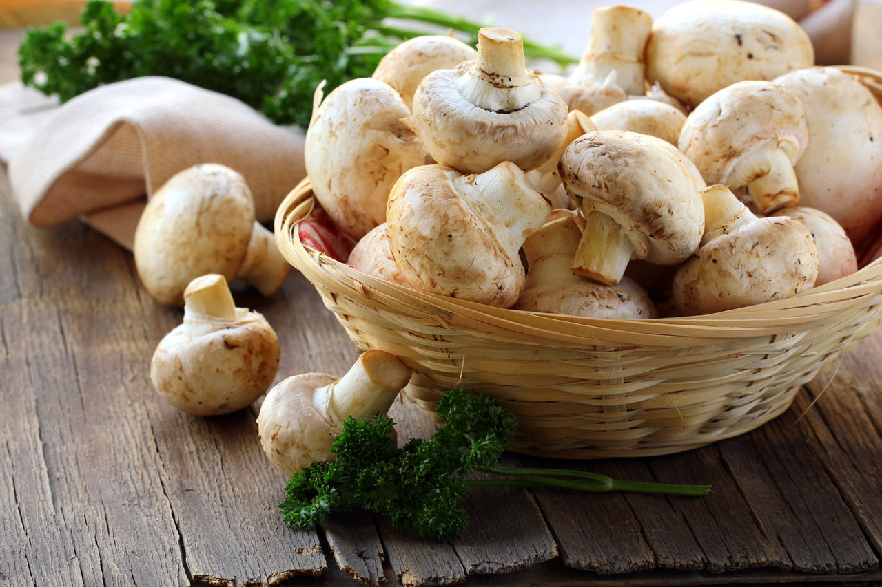 Studiu: Ciupercile champignon conțin substanțe capabile să lupte împotriva cancerului.