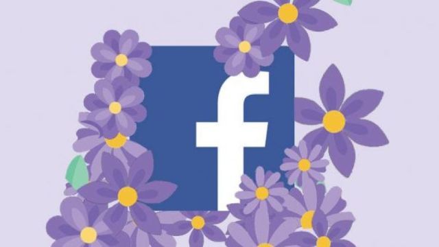 Floricica mov de pe Facebook - Ce a însemnat și de ce a dispărut. Foto: bani.md
