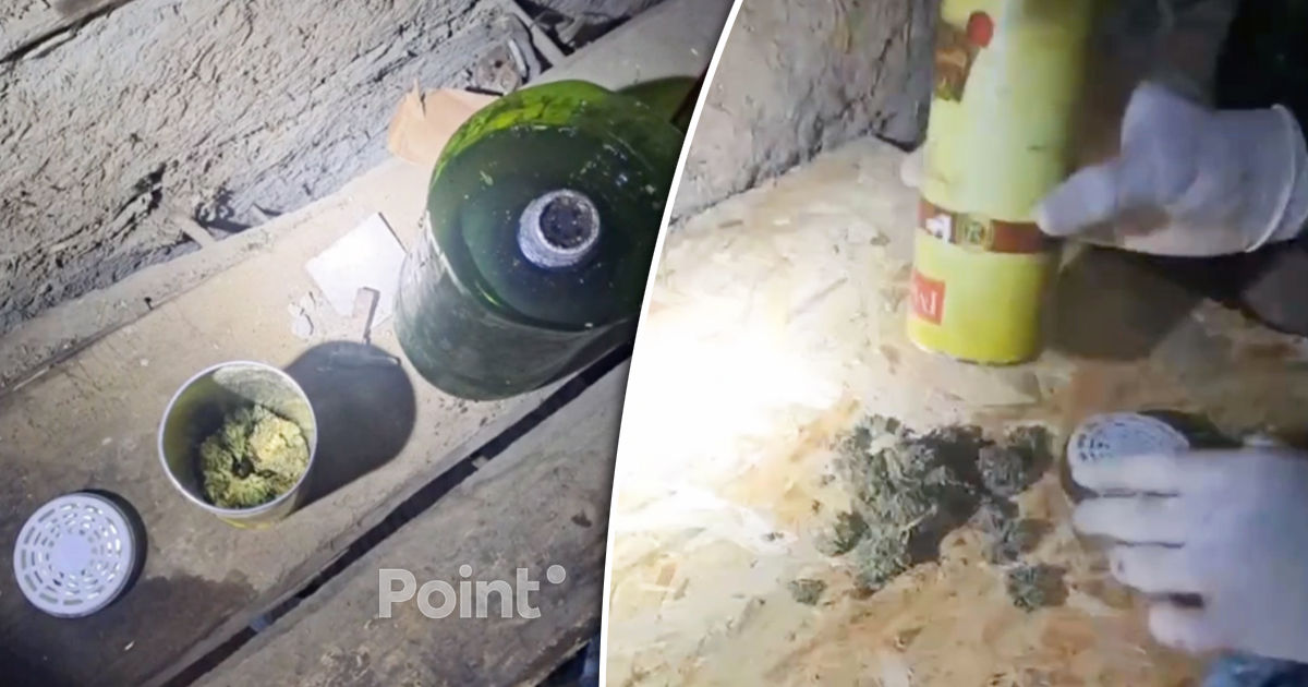 Polițiștii au confiscat 1,5 kg de droguri în raionul Cahul.
