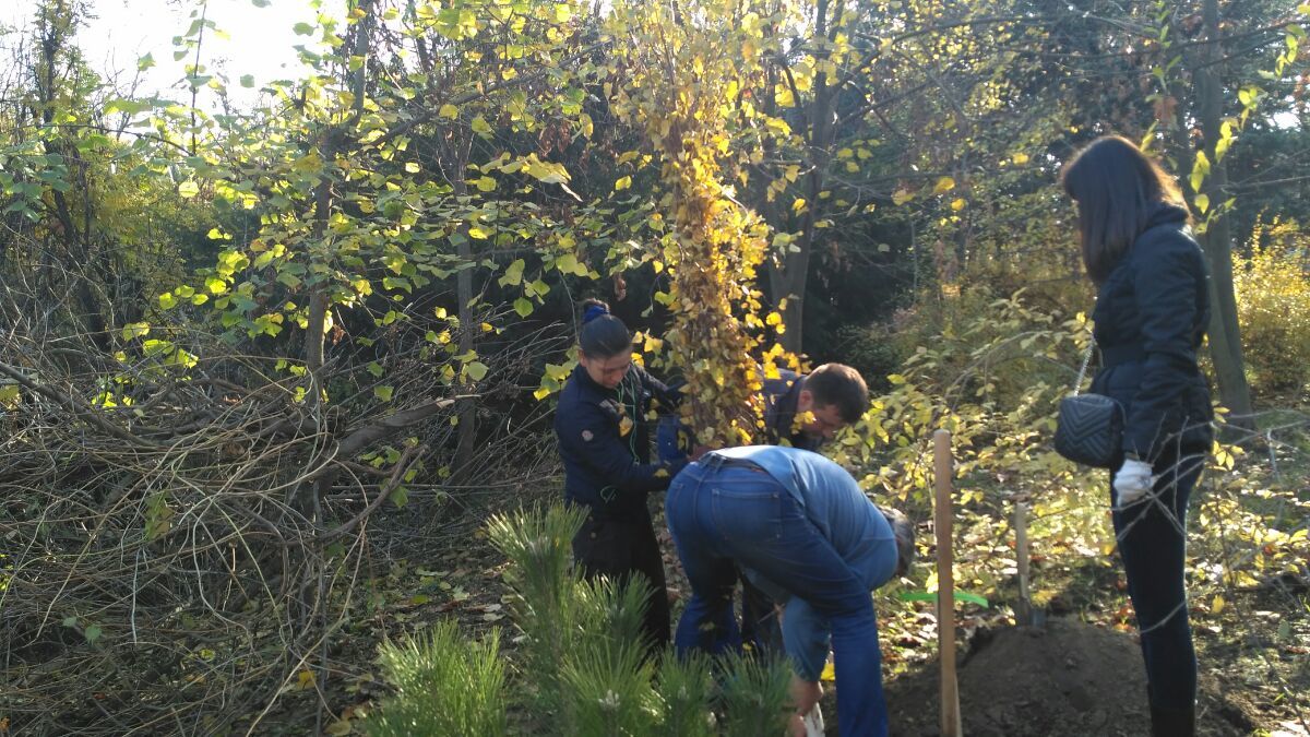 Verde.md: În parcul Valea Trandafirilor au fost sădiți 90 de arbori