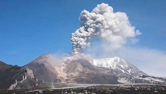Пепел от вулкана Шивелуч на Камчатке достиг стратосферы. Фото: kscnet.ru