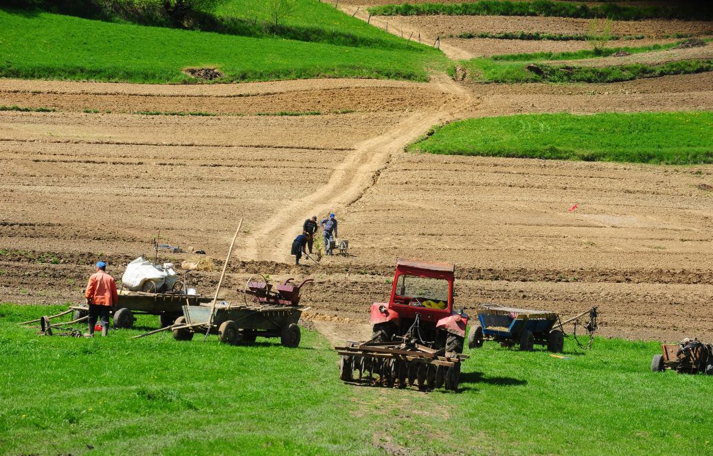 Autoritățile vor oferi sprijinul necesar sectorului agricol