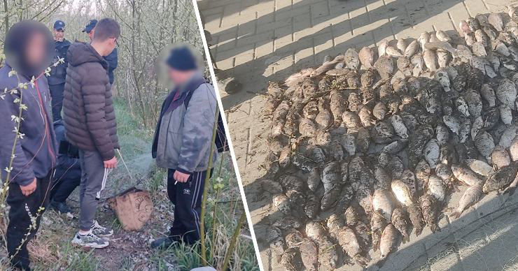 Четверо мужчин задержаны за незаконную рыбалку: они поймали 41 кг рыбы. Коллаж: Point.md