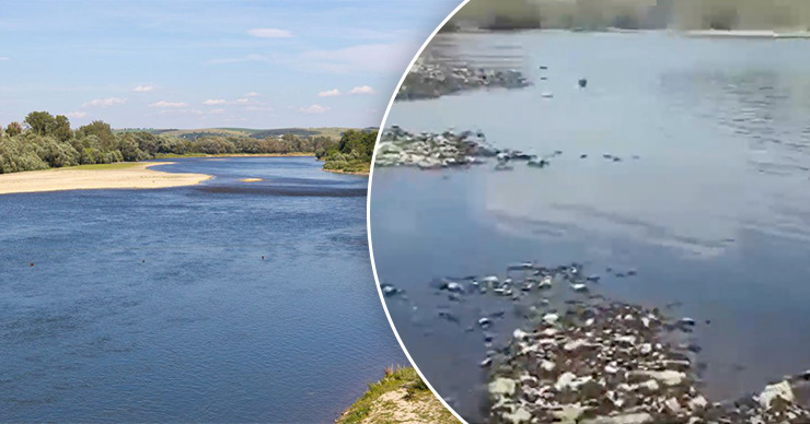 Воды Днестра почернели: дело расследуют прокуроры и Агентство окружающей среды.