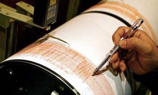 Un seism cu magnitudinea 2,7 pe scara Richter s-a produs în această dimineață în zona Vrancea.
