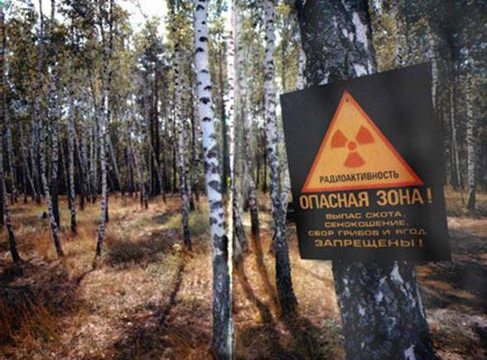 Катастрофа на Чернобыльской АЭС произошла 26 апреля 1986 года.