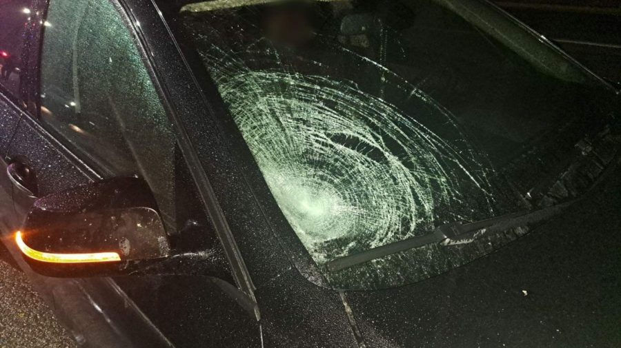 В Единецком районе женщина погибла, попав под колеса BMW.
