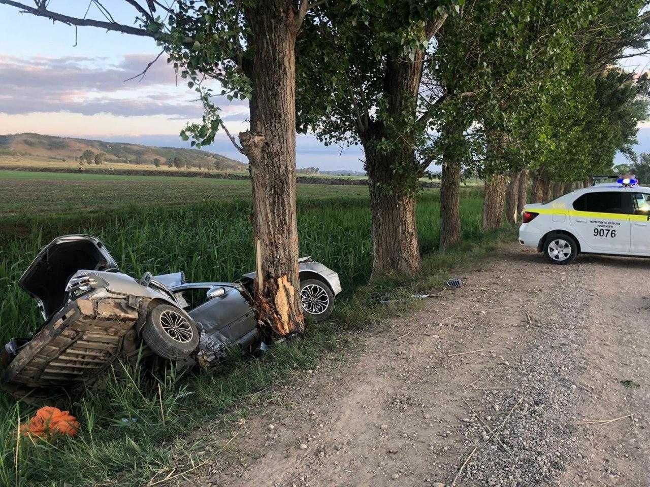 Вблизи Вулканешт машина врезалась в дерево, погиб человек