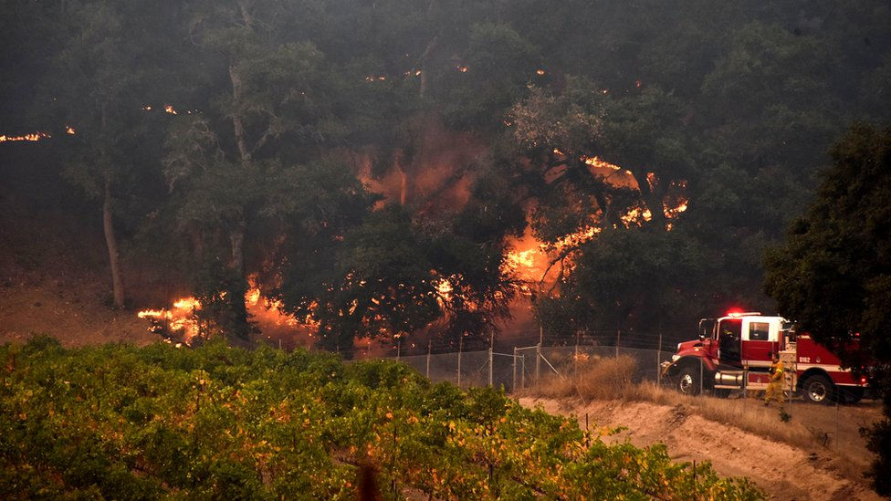Incendiile de pădure din Spania au provocat moartea unei persoane.