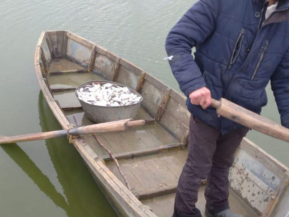 В районе Кагула задержали рыбаков за электролов в пограничных водах.